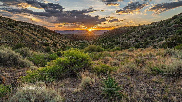 Stunning Sunset Over Mountain Valley with Desert Vegetation