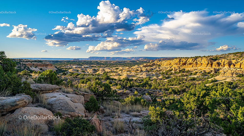 Scenic Desert Landscape Under Blue Sky with Dramatic Clouds