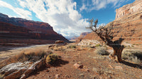 Rugged Gold Landscape with Red Rocky Canyons and Dry Tree