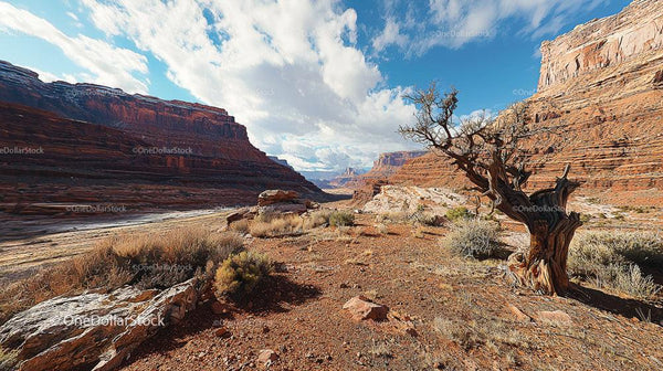 Rugged Gold Landscape with Red Rocky Canyons and Dry Tree