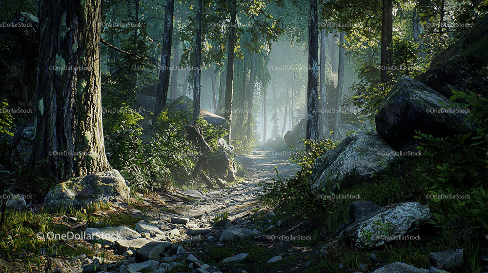 Sunlit Forest Trail with Lush Greenery and Mossy Rocks