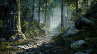 Sunlit Forest Trail with Lush Greenery and Mossy Rocks