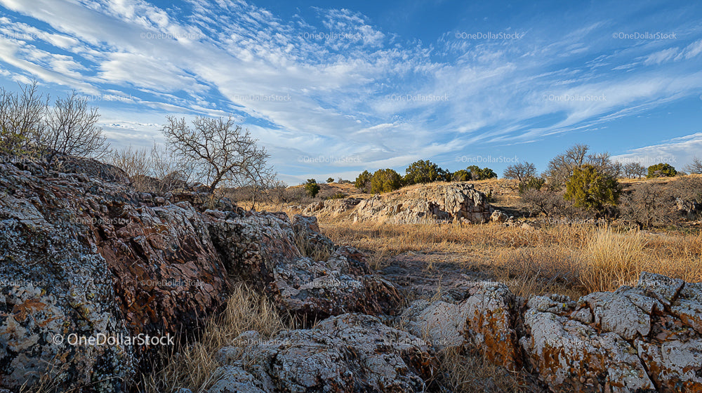 Rocky Desert Landscape with Blue Skies and Sparse Vegetation