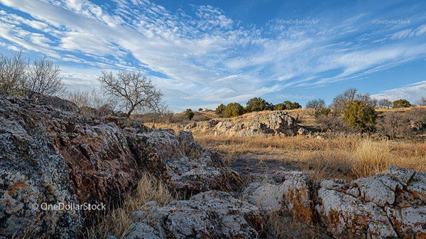 Rocky Desert Landscape with Blue Skies and Sparse Vegetation