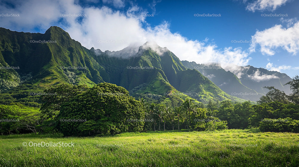 Majestic Tropical Mountains under a Clear Blue Sky