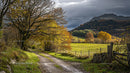Rustic Autumn Pathway with Golden Foliage and Mountain View