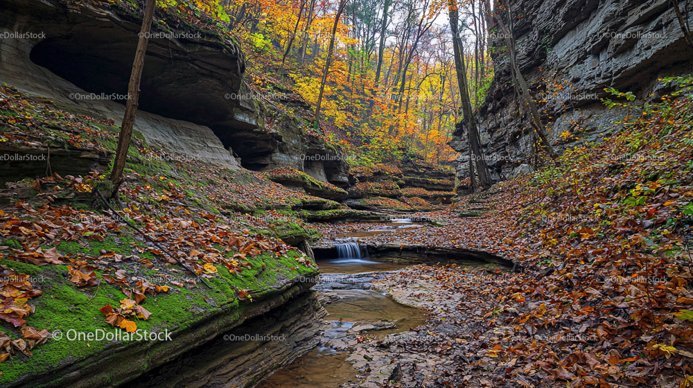 Autumn Canyon with Vibrant Foliage and Flowing Creek
