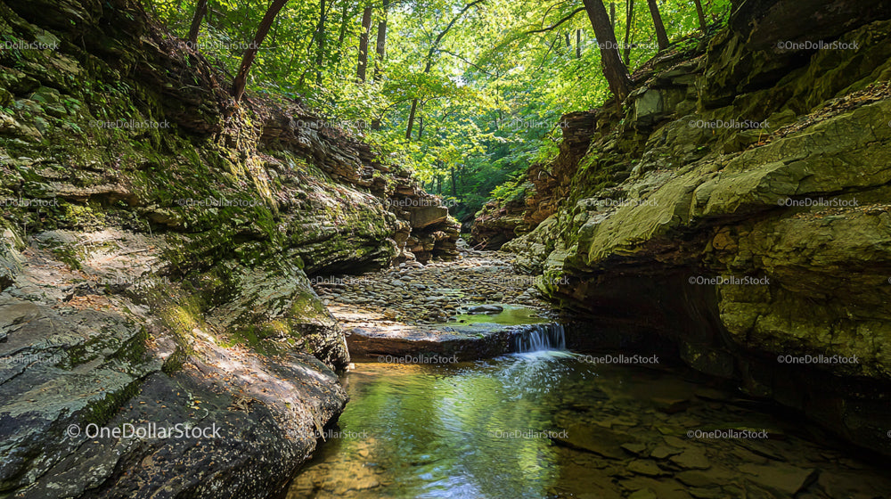 Serene Rocky Canyon with Flowing Stream in Lush Forest