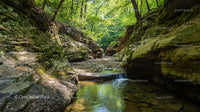Serene Rocky Canyon with Flowing Stream in Lush Forest