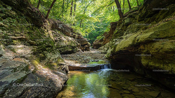 Serene Rocky Canyon with Flowing Stream in Lush Forest