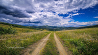 Dirt Road Leading Through the Rolling Hills Under Dramatic Skies