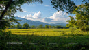 Scenic Green Meadow with Mountains and Blue Sky