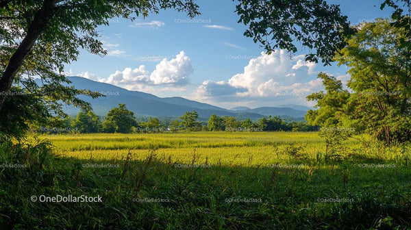 Scenic Green Meadow with Mountains and Blue Sky
