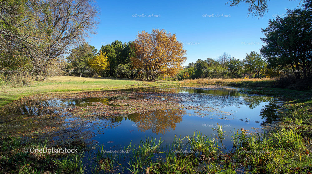 Tranquil Autumn Scene with Calm Lake and Vibrant Trees