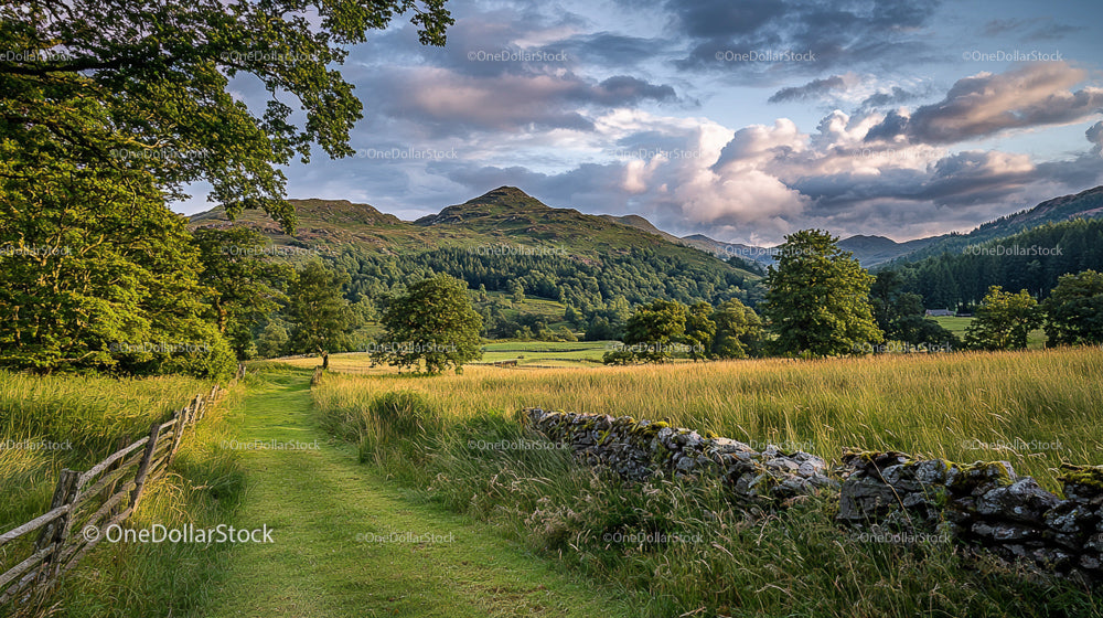 Tranquil Country Path Through Lush Green Hills
