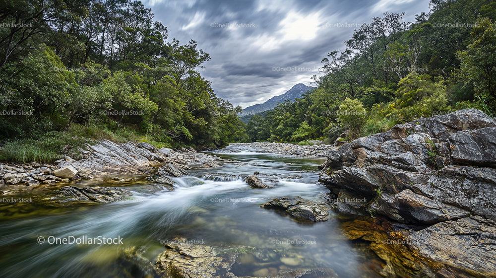 Serene Mountain Stream Flowing Through Lush Forest