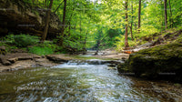 Tranquil Forest Stream with Lush Greenery and Waterfall