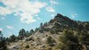 Rocky Mountain Landscape with Pine Trees and Blue Sky