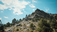 Rocky Mountain Landscape with Pine Trees and Blue Sky