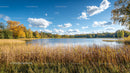 Tranquil Autumn Lake Surrounded by Golden Foliage