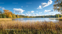 Tranquil Autumn Lake Surrounded by Golden Foliage