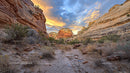 Majestic Sandstone Canyon at Sunset with Dramatic Sky
