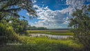 Tranquil Marshland Under a Blue Sky with Rolling Clouds