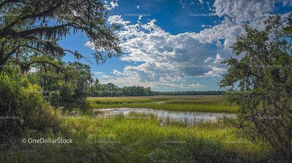 Tranquil Marshland Under a Blue Sky with Rolling Clouds