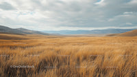 Golden Plains with Majestic Mountain Backdrop