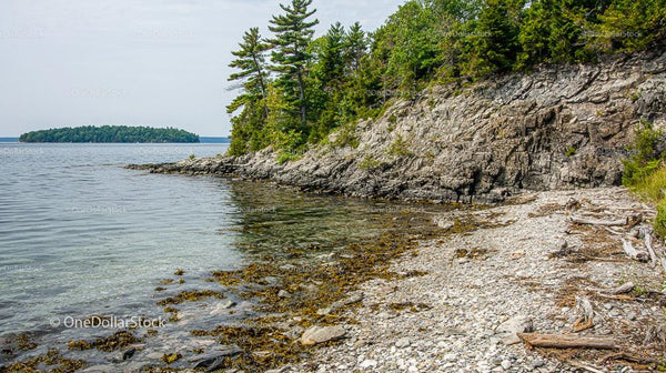 Tranquil Rocky Shoreline with Pine Trees and Serene Waters