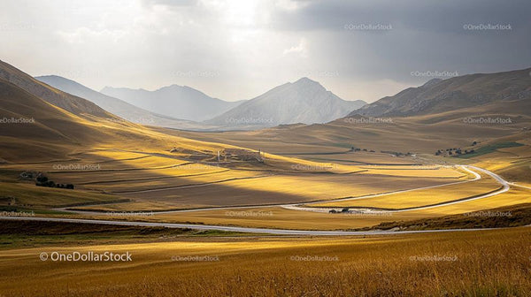 Golden Fields and Winding Roads Amidst Mountain Landscapes