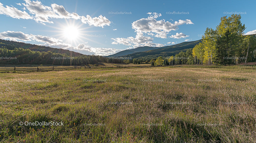 Sunlit Meadow with Rolling Hills and Blue Sky Vista