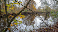 Tranquil Woodland River with Autumn Foliage Reflections