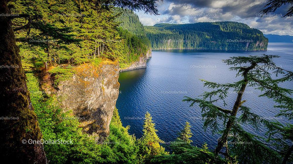 Stunning Coastal Cliffs with Lush Greenery and Clear Blue Water