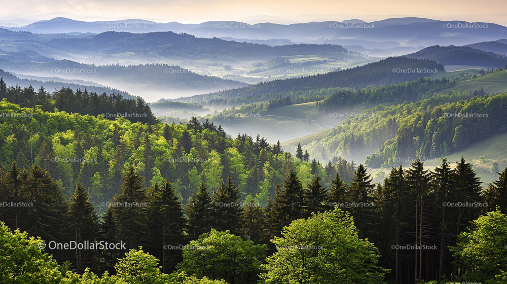 Misty Morning Over Scenic Rolling Hills and Lush Forest
