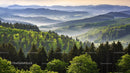 Misty Morning Over Scenic Rolling Hills and Lush Forest