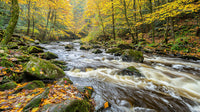 Serene Autumn River Flowing Through a Vibrant Forest