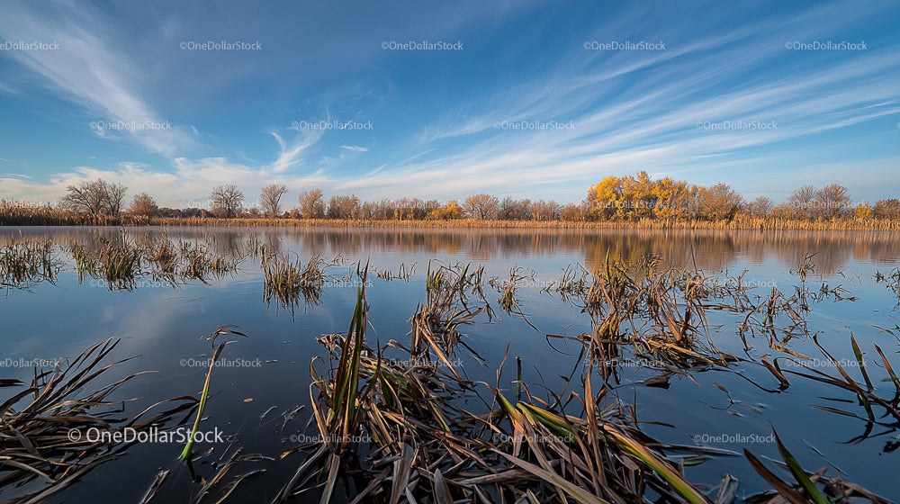 Serene Autumn Lake with Lush Foliage and Reflective Sky