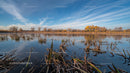 Serene Autumn Lake with Lush Foliage and Reflective Sky