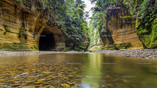 Clear River Flowing Through Lush Green Jungle Gorge