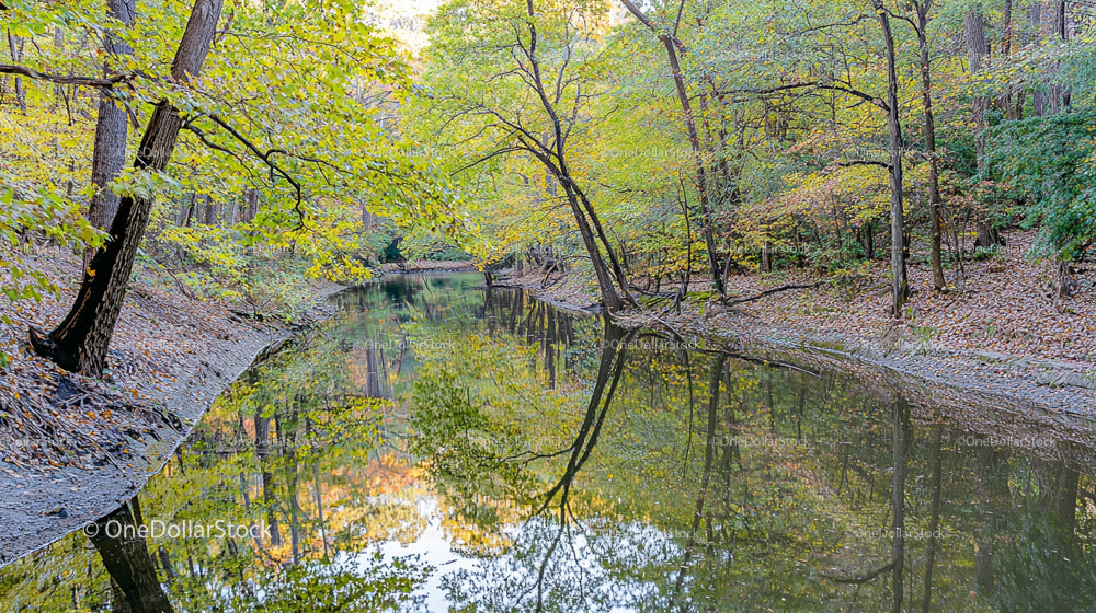 Spokojna jesienna rzeka z żywymi refleksami lasu