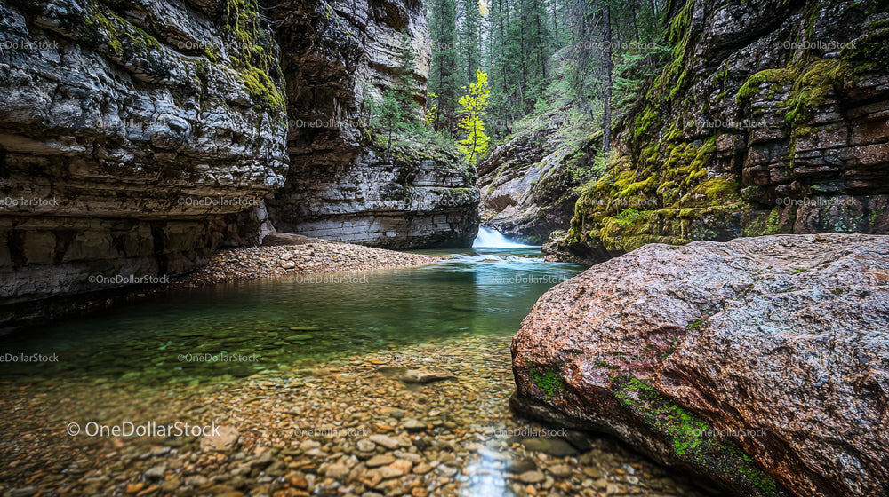 Tranquil River Gorge with Lush Forest and Mossy Rocks