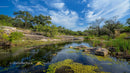 Serene Rocky Stream With Vibrant Greenery and Blue Sky