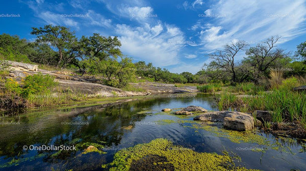 Serene Rocky Stream With Vibrant Greenery and Blue Sky