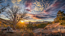 Dramatic Sunset Over Mountain Landscape with Silhouette Tree