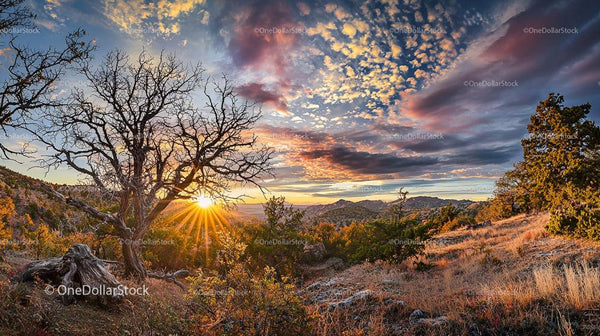Dramatic Sunset Over Mountain Landscape with Silhouette Tree