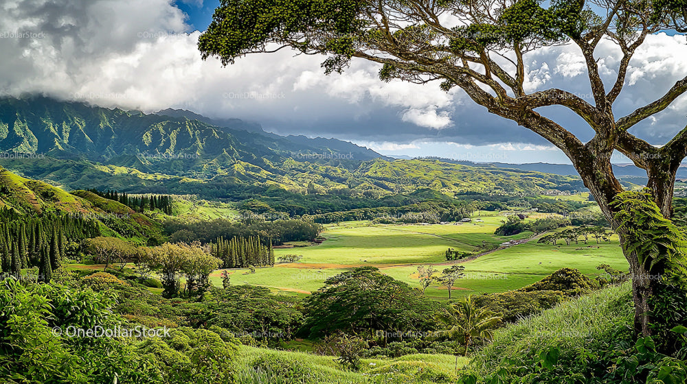 Vibrant Green Vale with Majestic Mountains and Dramatic Sky