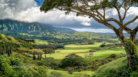Vibrant Green Vale with Majestic Mountains and Dramatic Sky