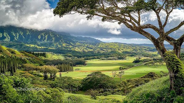 Vibrant Green Vale with Majestic Mountains and Dramatic Sky