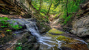 Tranquil Waterfall Flowing Through Verdant Forest Gorge